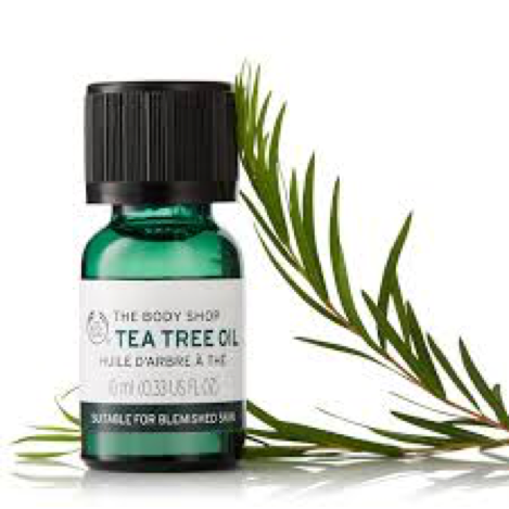 trea-tree-oil